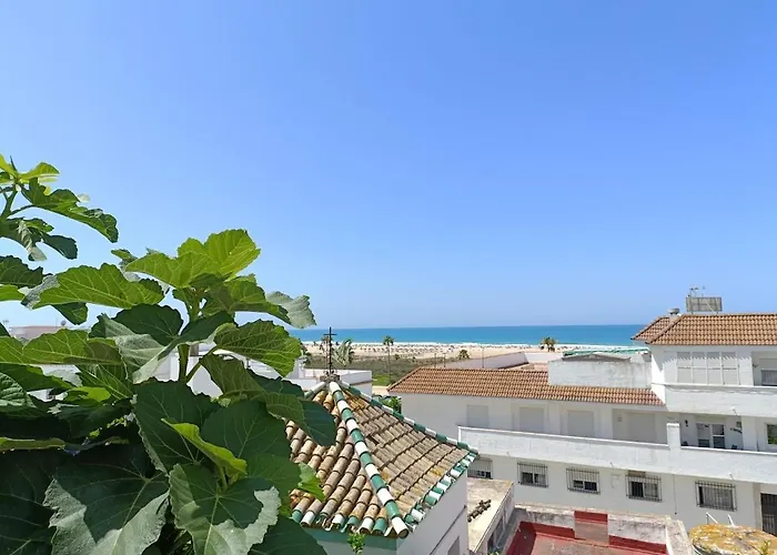 Tropical Conil De La Frontera